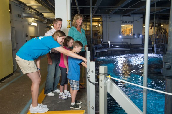 The Backstage Animal Experience at Newport Aquarium offers guest a behind-the-scenes look of the aquarium.