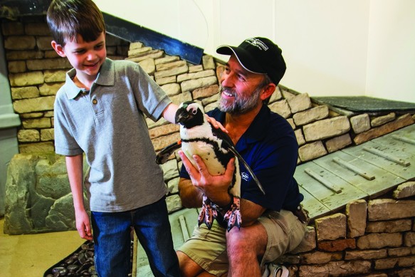Newport Aquarium Animal Ambassador Ric Urban (right) has more than 30 years of experience as a zoo keeper. (Photo by Tim Webb/Kentucky Living)