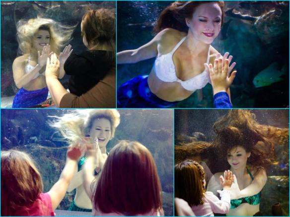 Mermaid collage