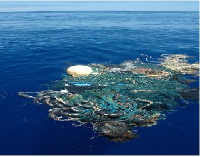 North Pacific Gyre Garbage Patch