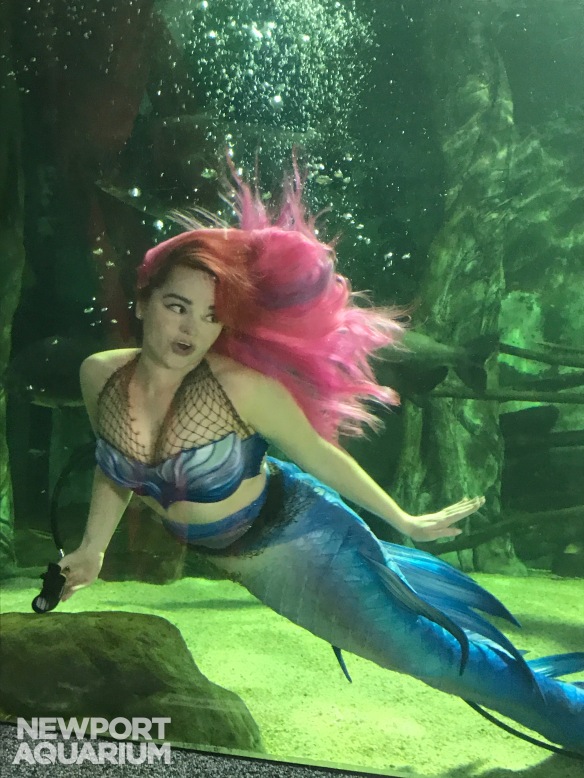 Mermaid Calliope