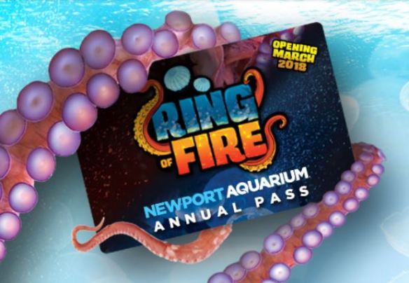 Ring of Fire Buy 3 Get 1 Free
