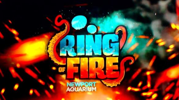 Ring of Fire image