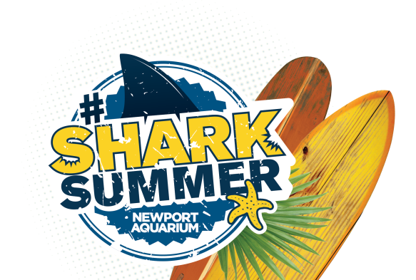 02SharkSummerLogoWithSurfBoards_PNG - Copy