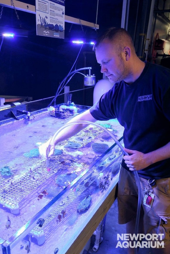 Rob cleaning coral (2)