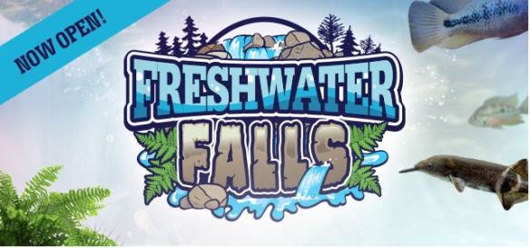 Freshwater Falls Now Open
